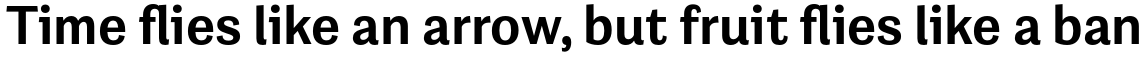 Grotesco Bold