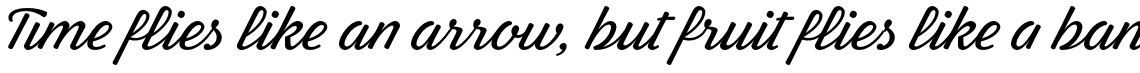 Letteria Pro Regular