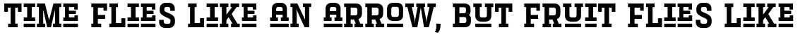 Letteria Pro Sans Slab