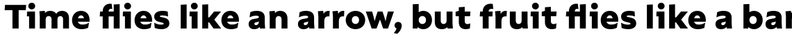 Rebrand Text Family