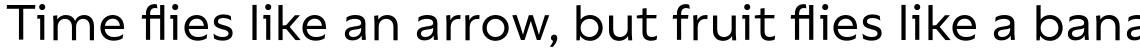 Rebrand Text Medium