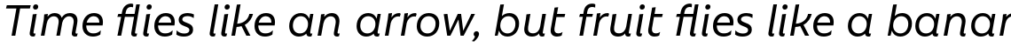 Rebrand Text Medium it