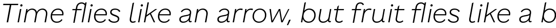 Brutalista Ultra Light Italic
