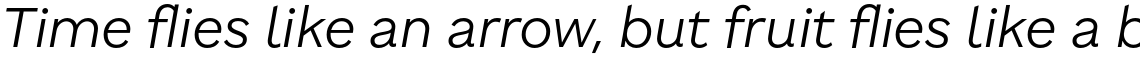 Brutalista Light Italic