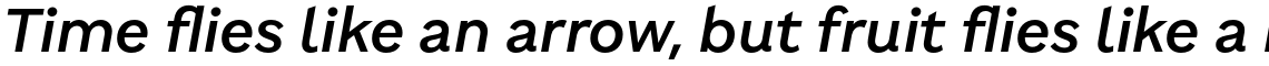 Brutalista Medium Italic