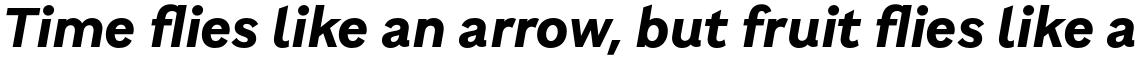 Brutalista Bold Italic