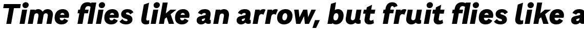 Brutalista Black Italic