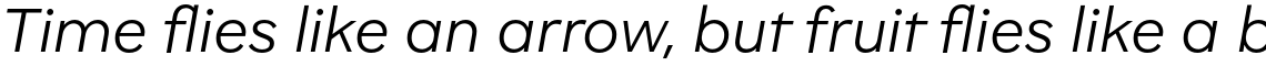 Brutalista Alt Light Italic