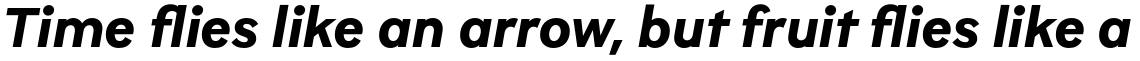 Brutalista Alt Bold Italic