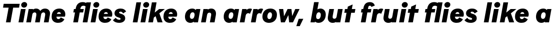 Brutalista Alt Black Italic