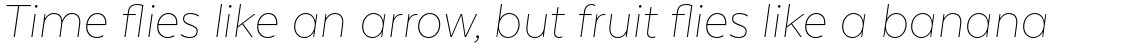 Texta Pro Thin Italic