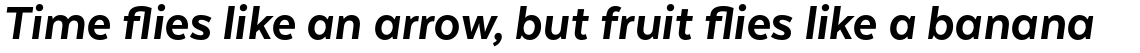 Texta Pro Black Italic