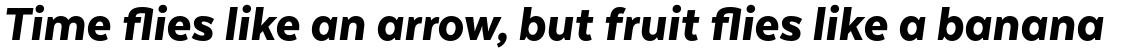 Texta Pro Heavy Italic