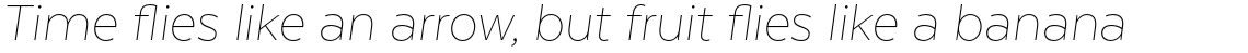 Texta Pro Alt Thin Italic