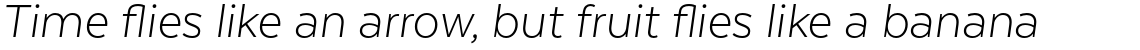 Texta Pro Alt Light Italic