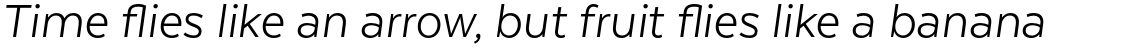 Texta Pro Alt Book Italic