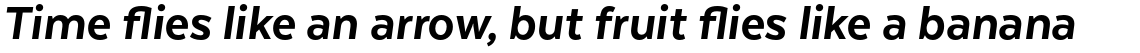 Texta Pro Alt Black Italic