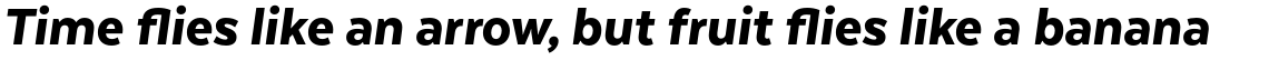 Texta Pro Alt Heavy Italic