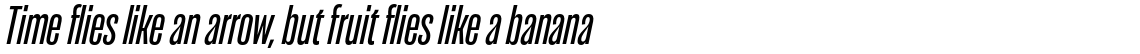Seriguela Medium Italic
