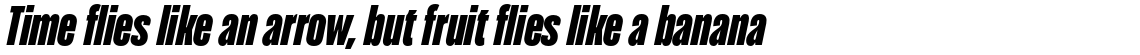 Seriguela Black Italic