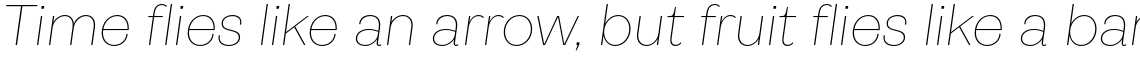 Pais Thin Italic