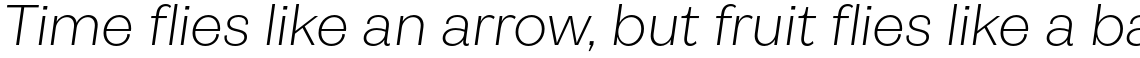 Pais Light Italic
