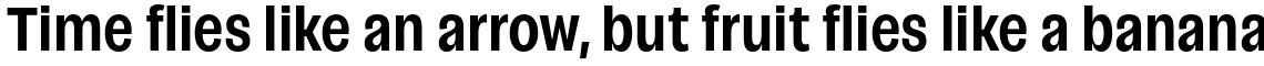 Campeche Condensed Bold
