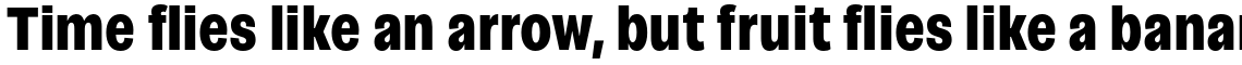 Campeche Condensed Heavy