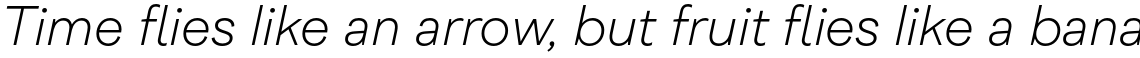 Cordillera Thin Italic