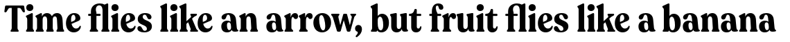 Ltt Recoleta Condensed Bold