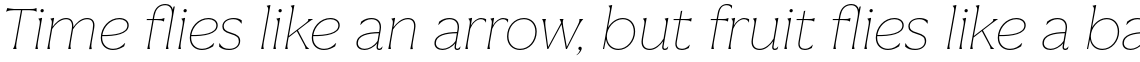 Vanguardia Thin Italic