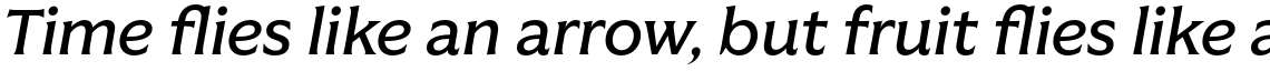 Vanguardia Medium Italic