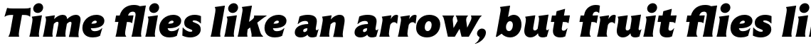 Vanguardia Black Italic