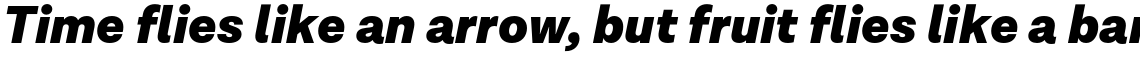 Santi Black Italic