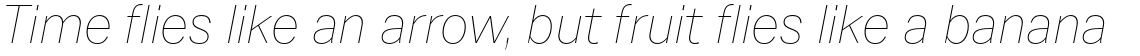 Latino Gothic Thin Italic