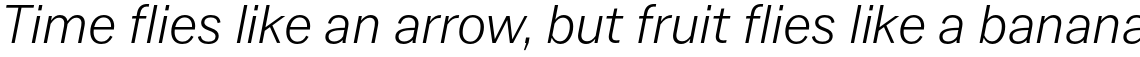 Latino Gothic Regular Italic