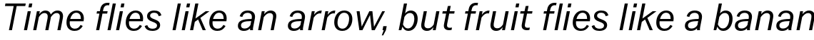 Latino Gothic Medium Italic