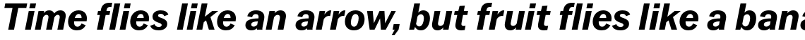 Latino Gothic Bold Italic