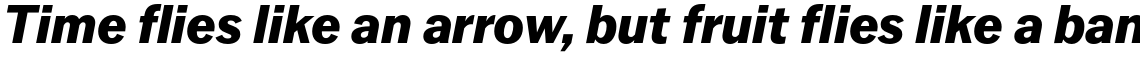 Latino Gothic ExtraBold Italic