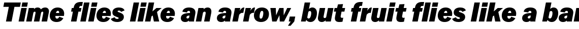 Latino Gothic Black Italic