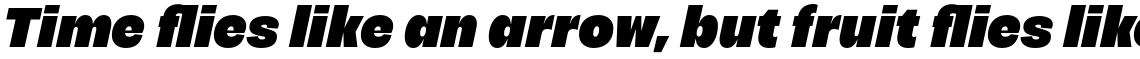 Acaraje Black Italic
