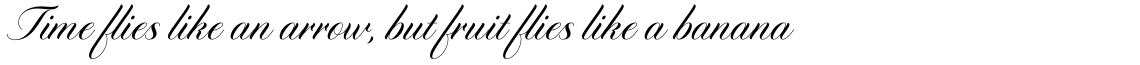 Diploma Script Basic