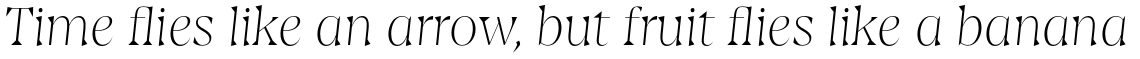 Amarga Thin Italic