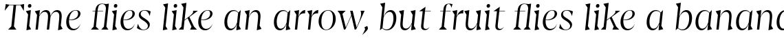 Amarga Light Italic