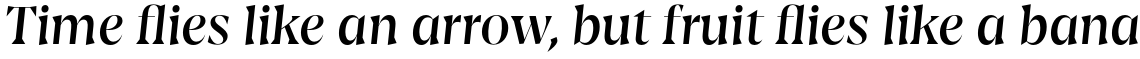 Amarga Medium Italic