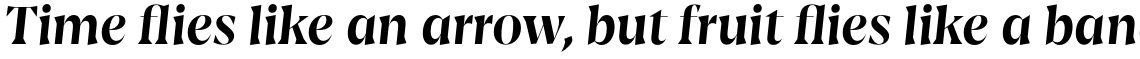 Amarga Semi Bold Italic