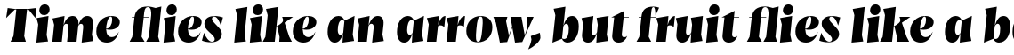 Amarga Extra Bold Italic