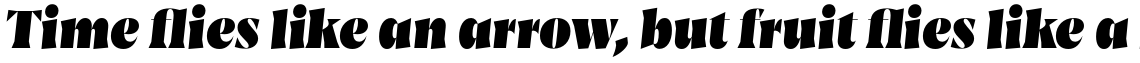 Amarga Black Italic