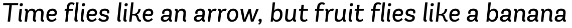 Andes Italic Complete Family
