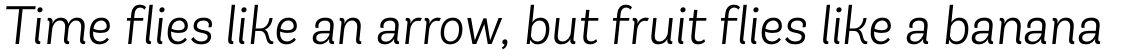 Andes Italic Light